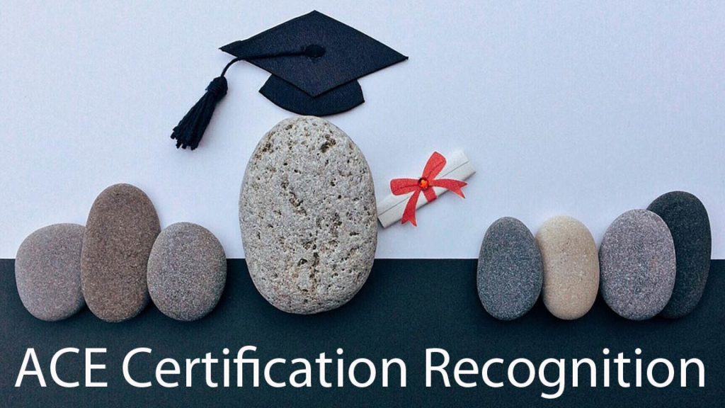 Guide to Best personal trainer schools (Updated) 48 ACE certification recognition