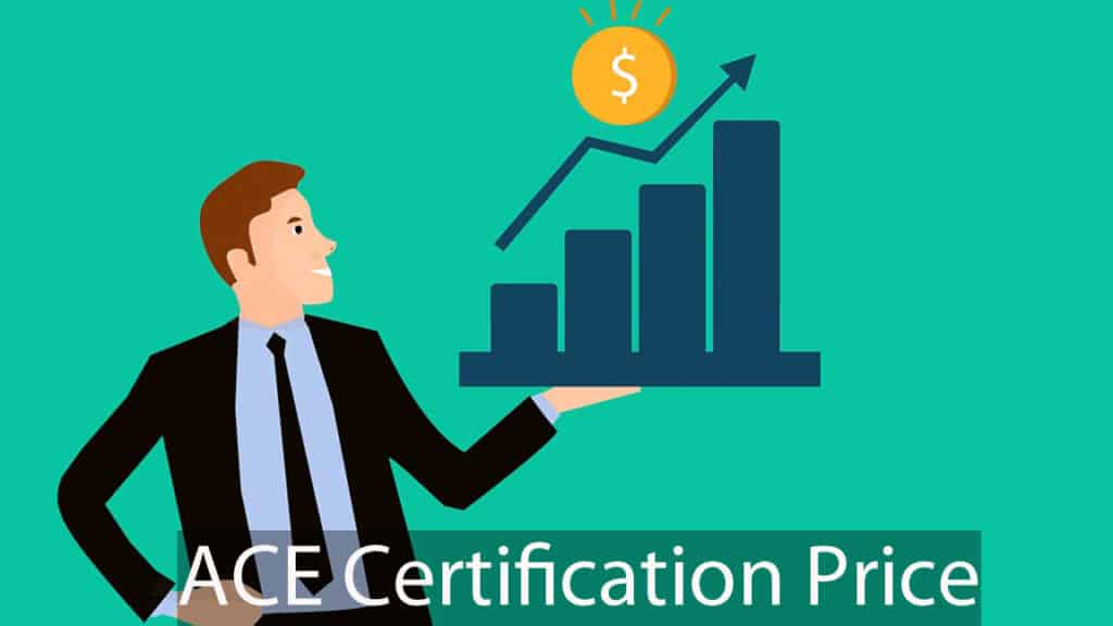 Guide to Best personal trainer schools (Updated) 51 Ace certification price