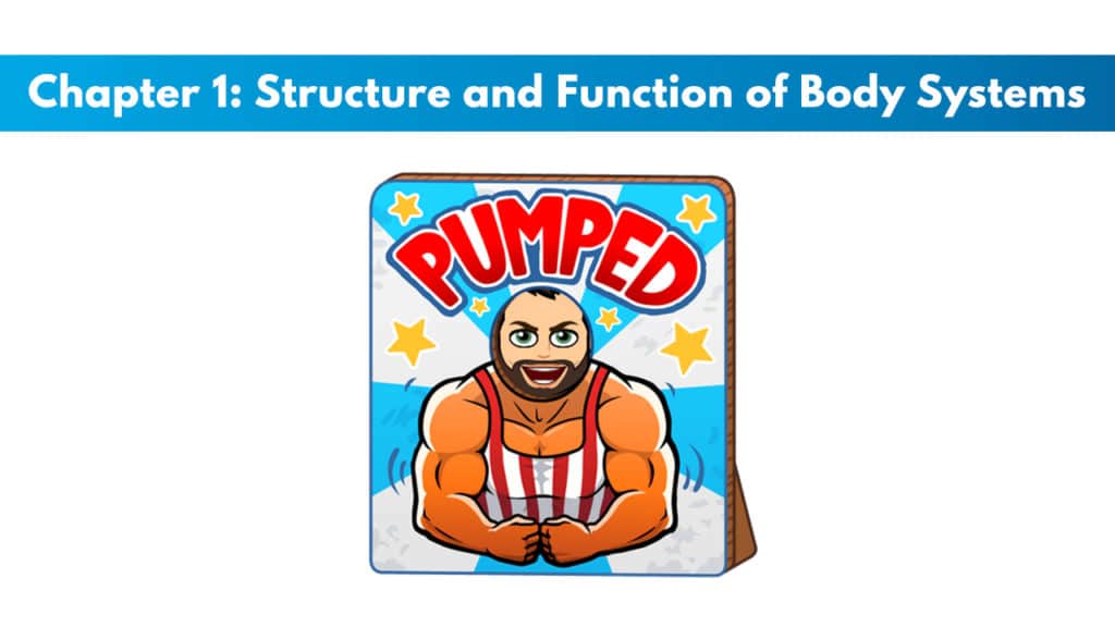 CSCS Chapter 1: Structure and Function of Body Systems 4 CSCS Study Guide Chapter 1