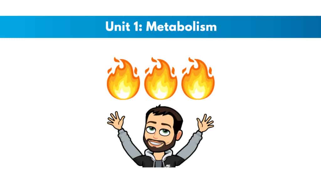 ISSA Unit 1 - Metabolism 7 ISSA Unit 1 - Metabolism