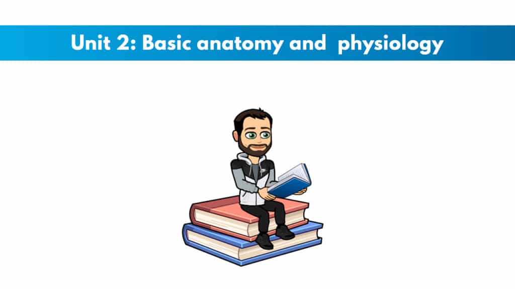 ISSA Unit 2 - Basic anatomy and physiology 8 ISSA Unit 2 - Basic anatomy and physiology