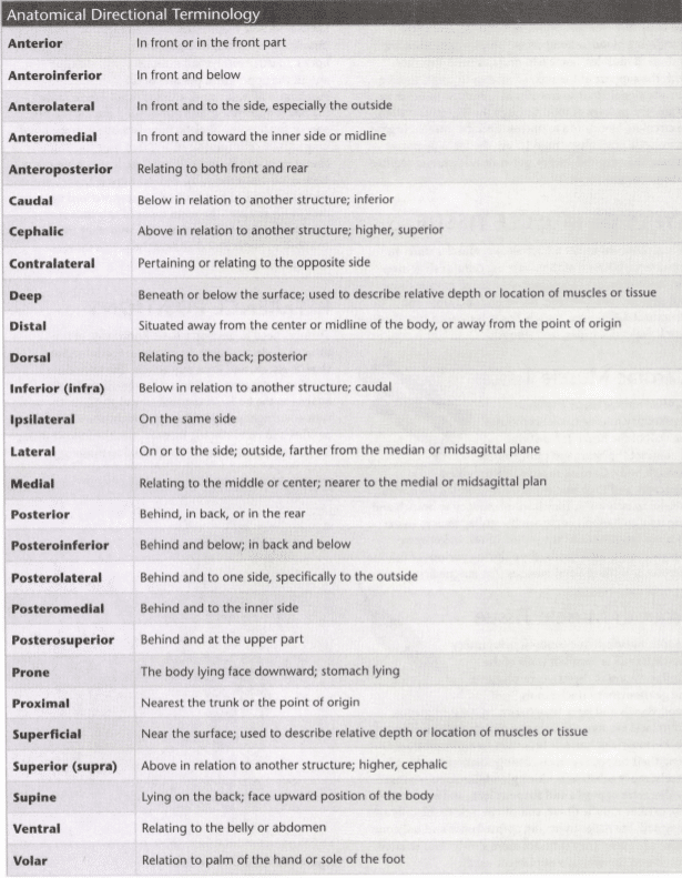 ISSA Unit 3 - Musculoskeletal anatomy and physiology 29 ISSA Unit 3 - Musculoskeletal anatomy and physiology 27