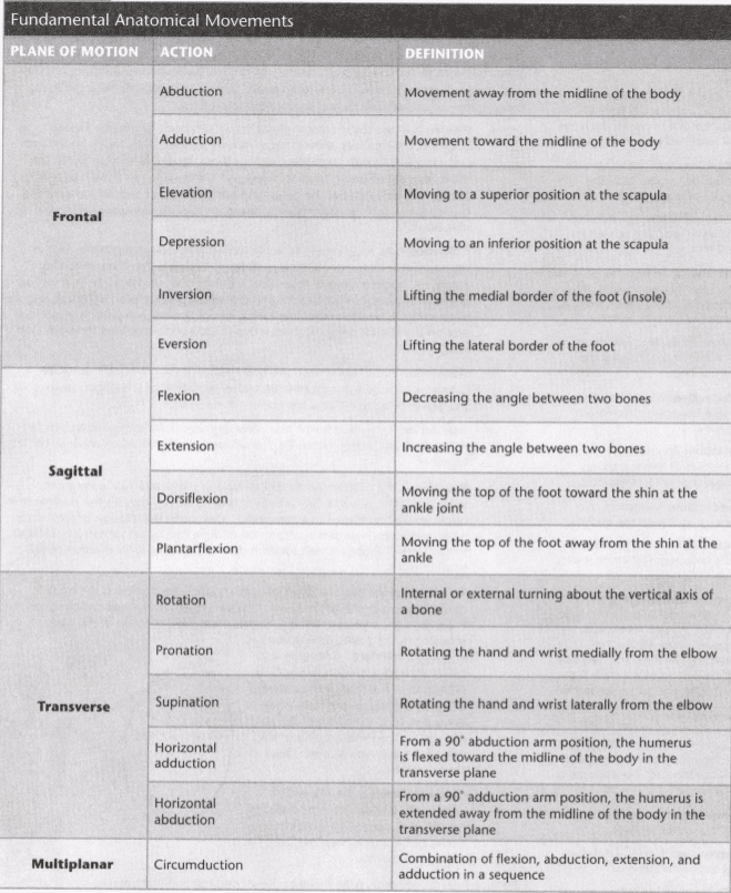 ISSA Unit 4 - Kinesiology of exercise 9 ISSA Unit 4 - Kinesiology of exercise 7