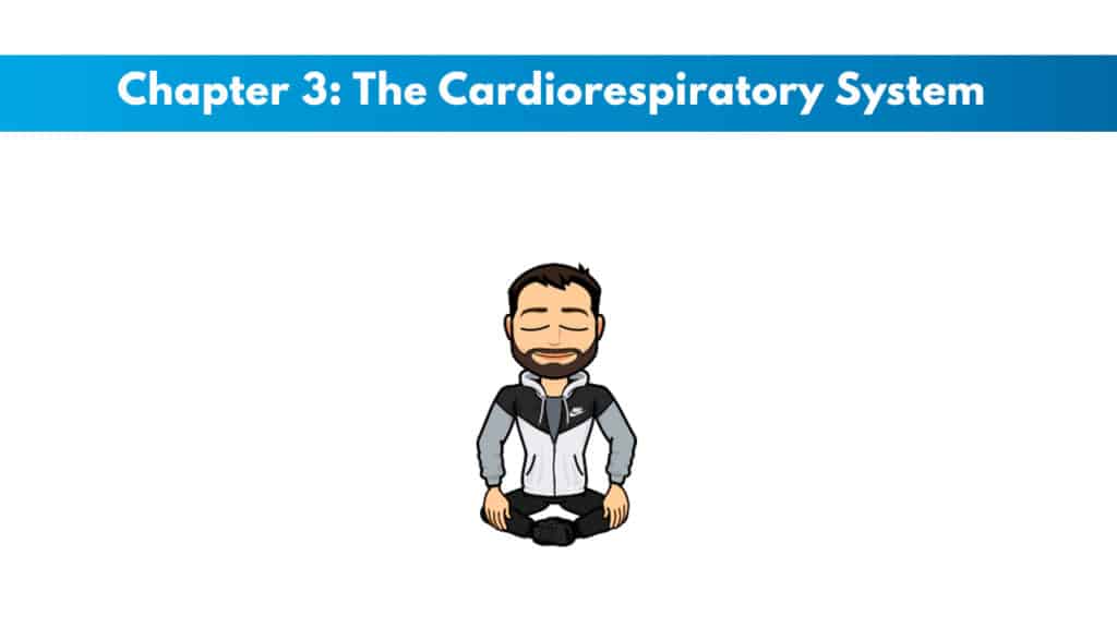 NASM 6th Edition Chapter 3: The cardiorespiratory system 6 NASM study guide chapter 3