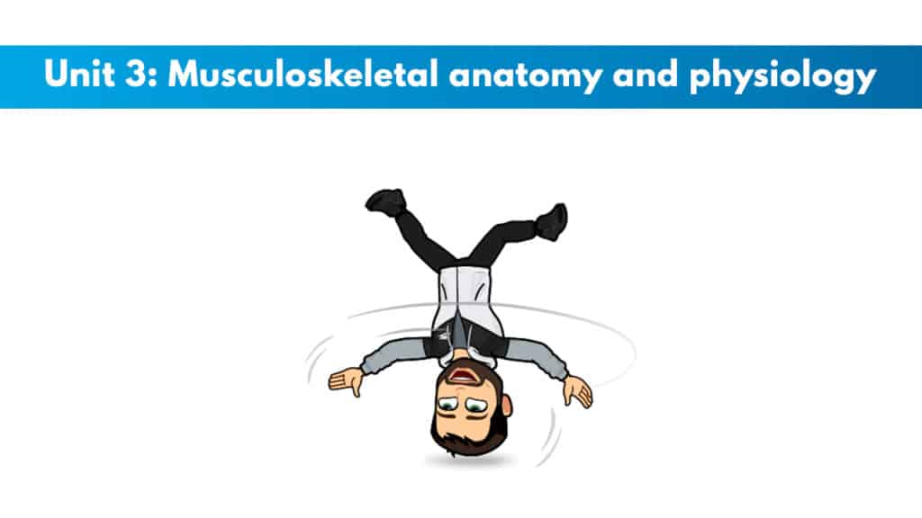 ISSA Unit 3 - Musculoskeletal anatomy and physiology 26 ISSA Unit 3 - Musculoskeletal anatomy and physiology