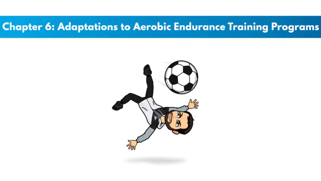 CSCS Chapter 6: Adaptations to Aerobic Endurance Training Programs 5 CSCS Study Guide Chapter 6