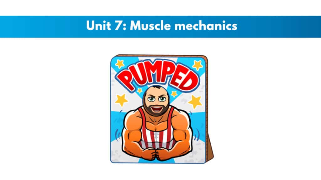 ISSA Unit 7 - Muscle mechanics 5 ISSA Unit 7 - Muscle mechanics