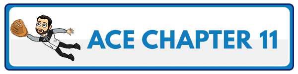 ACE CPT Chapter 12 - The ACE Integrated Fitness Training Model in Practice 5