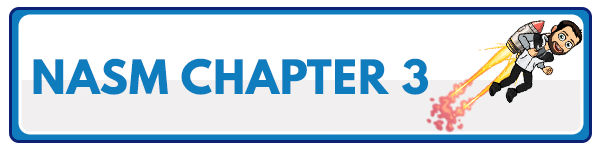 NASM 6th Edition Chapter 2: The basics of exercise science 5