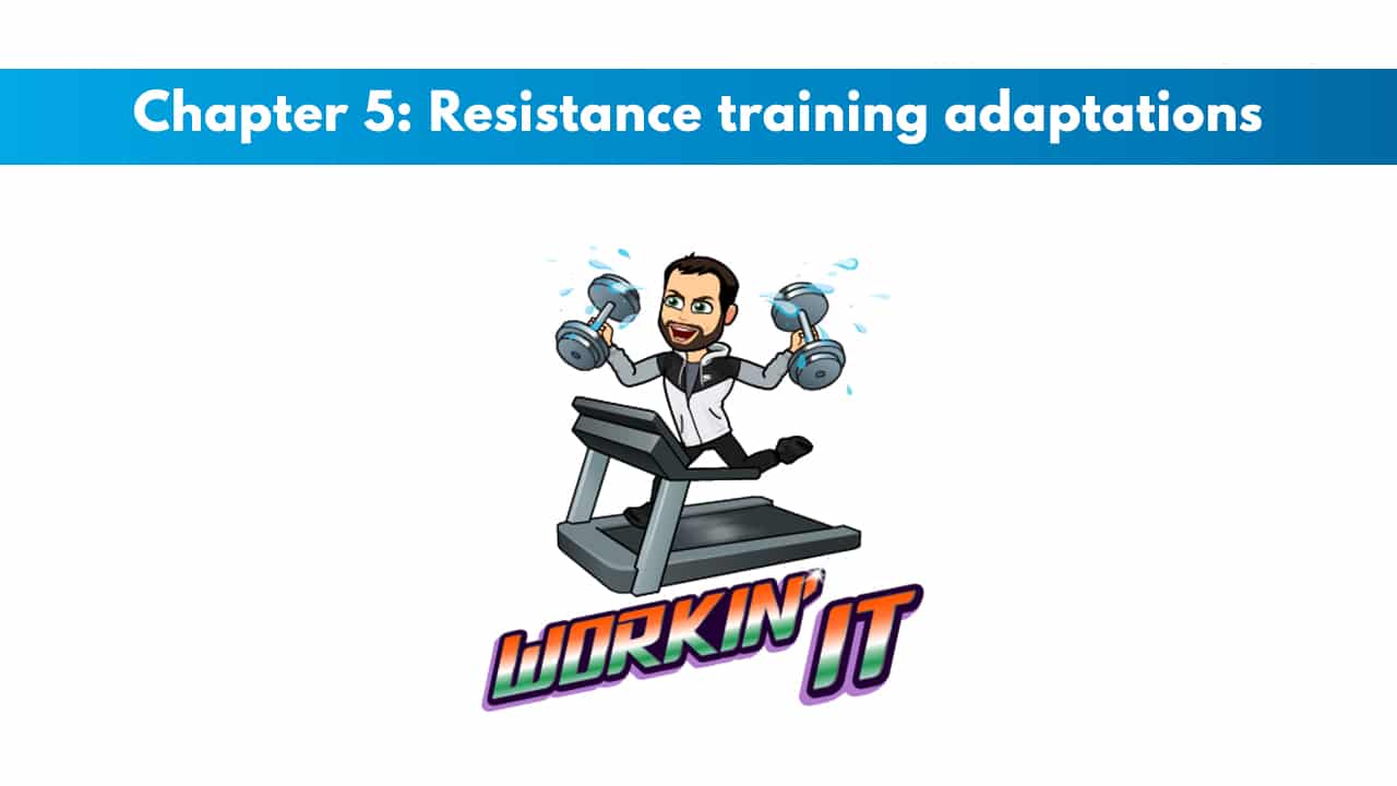 Chapter 5 – Resistance Training Adaptations