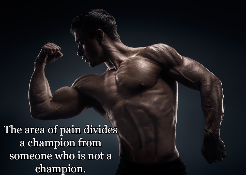 Personal Trainer Quotes - The Best Ones In The Business 20 The area of pain divides a champion from someone who is not a champion.