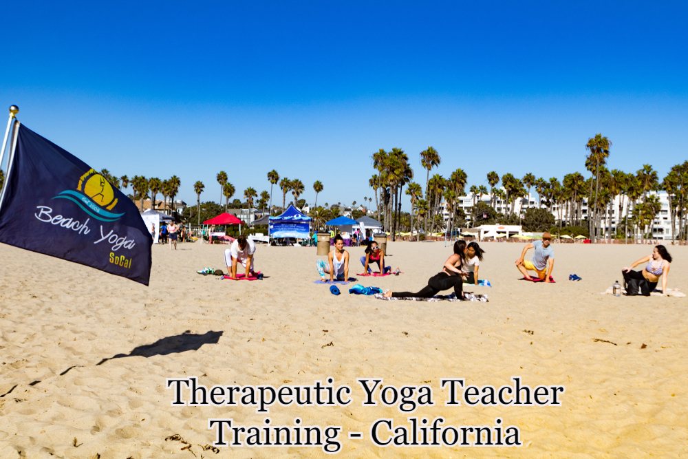 Therapeutic Yoga Teacher Training - California