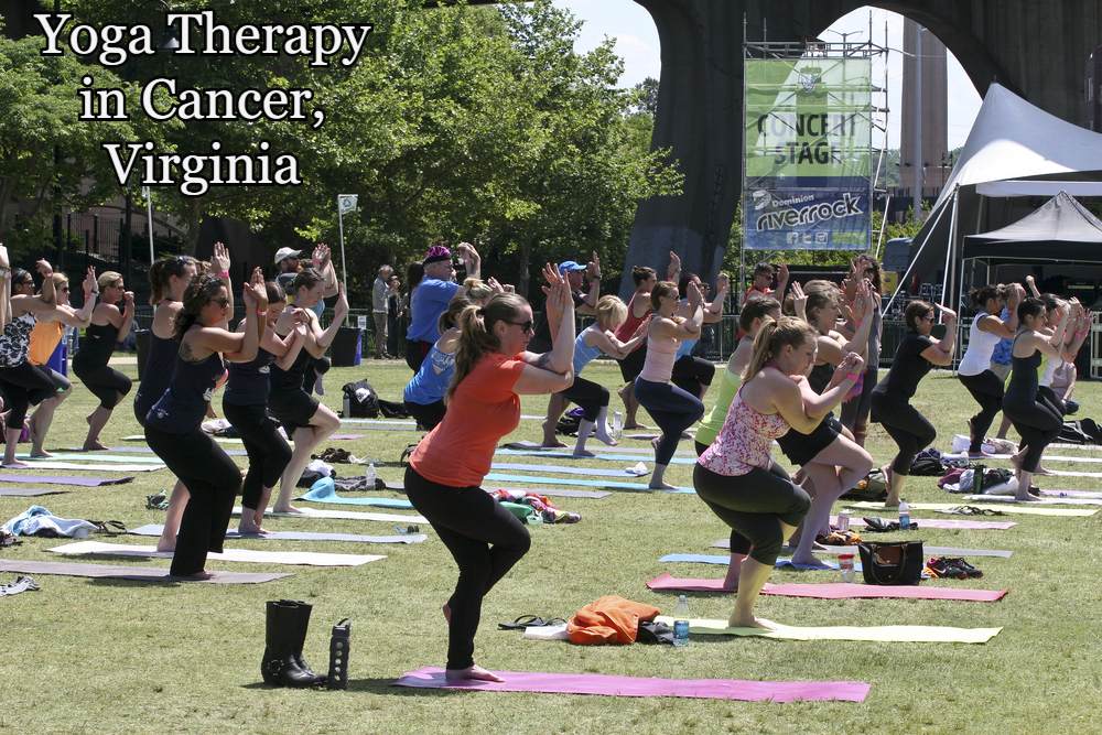 Yoga Therapy in Cancer and Chronic Illness, Virginia