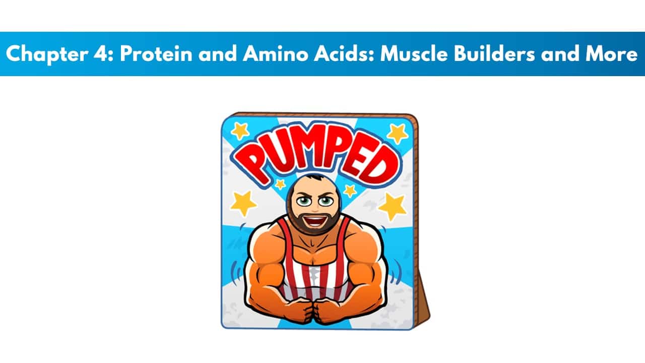 ISSA SN Chapter 4: Protein and Amino Acids: Muscle Builders and More