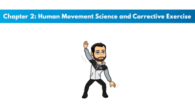 NASM CES Chapter 2: Human Movement Science and Corrective Exercise