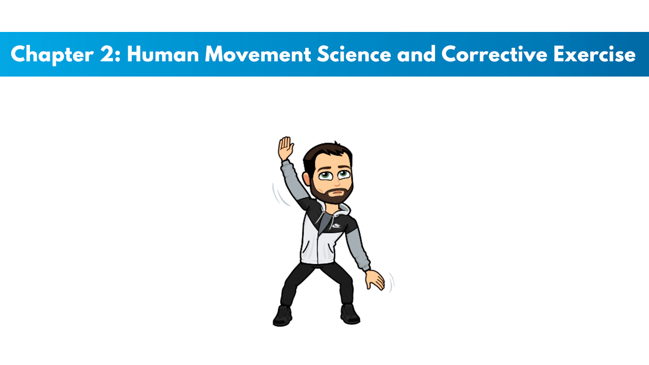 NASM CES Chapter 2: Human Movement Science and Corrective Exercise 2