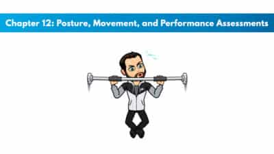 NASM CPT 7th Edition Chapter 12: Posture, Movement, and Performance Assessments