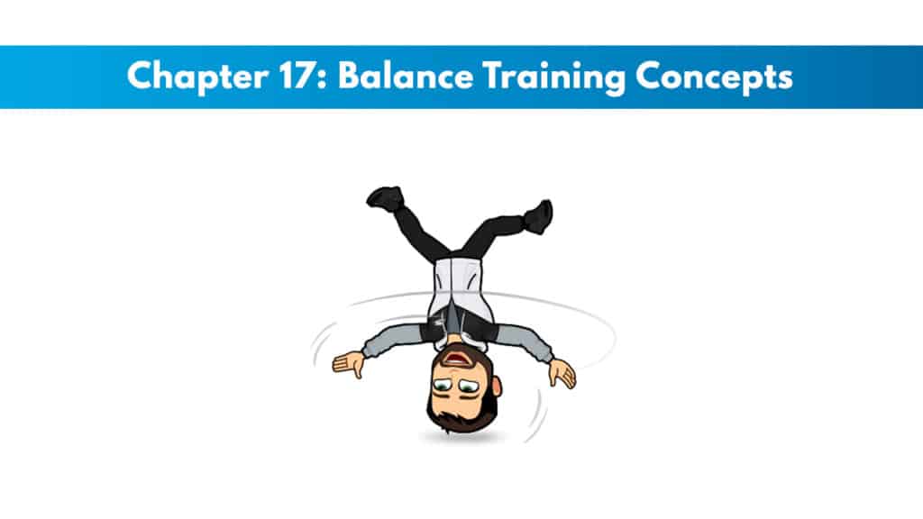 NASM CPT 7th Edition Chapter 17: Balance Training Concepts 5 NASM CPT 7th Edition Chapter 17: Balance Training Concepts 5