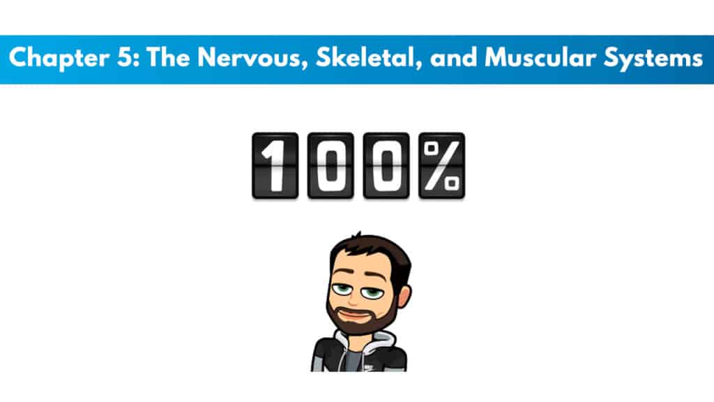 NASM CPT 7th Edition Chapter 5: The Nervous, Skeletal, and Muscular Systems 5 NASM CPT 7th Edition Chapter 5: The Nervous, Skeletal, and Muscular Systems 5