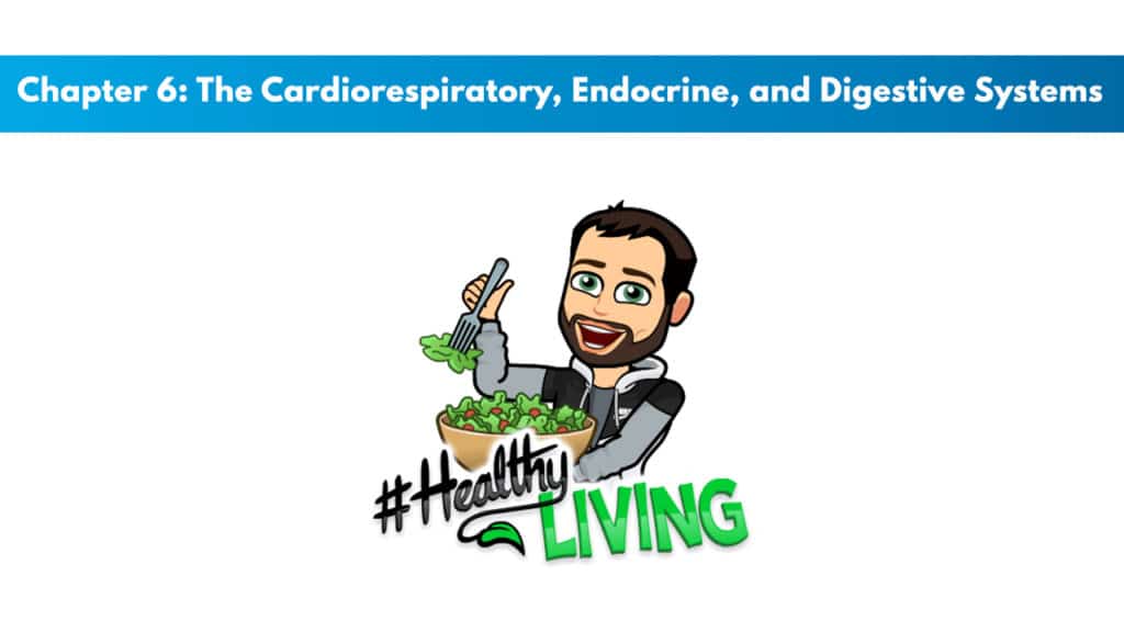 NASM CPT 7th Edition Chapter 6: The Cardiorespiratory, Endocrine, and Digestive Systems 5 NASM CPT 7th Edition Chapter 6: The Cardiorespiratory, Endocrine, and Digestive Systems 5