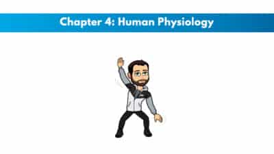 NCSF Personal Training Study Guide Chapter 4 – Human Physiology