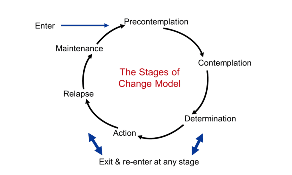 NETA CPT Review of [year] - Is NETA worth it for you? 11