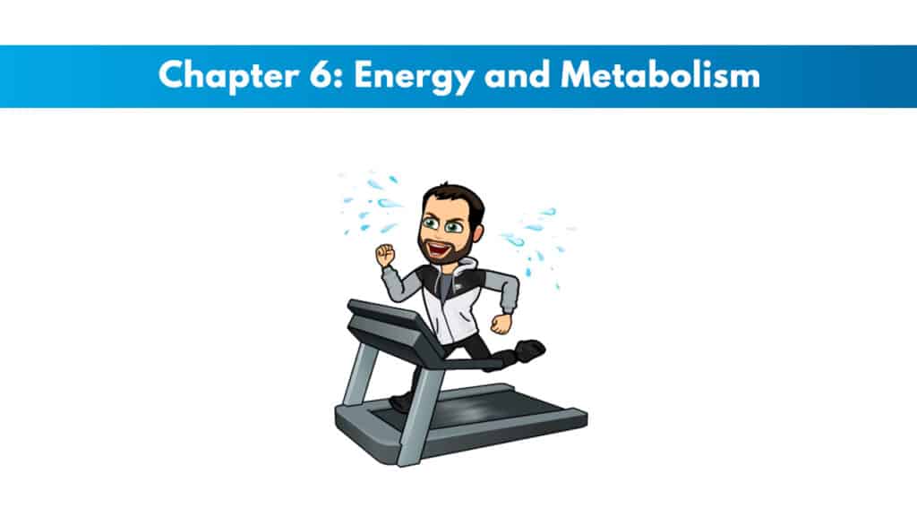 ISSA Chapter 6: Energy and Metabolism 5 ISSA Chapter 6: Energy and Metabolism 5