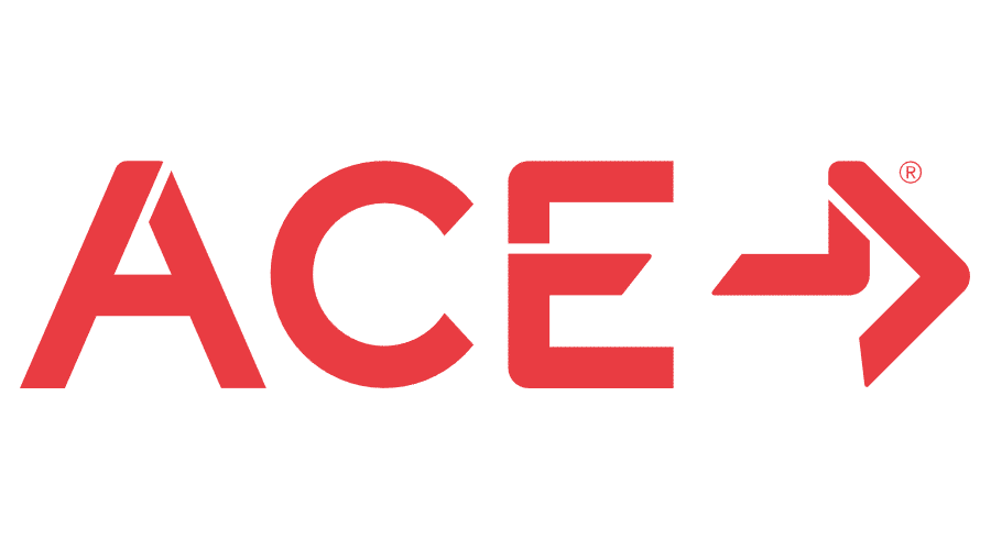 ACE logo for the company