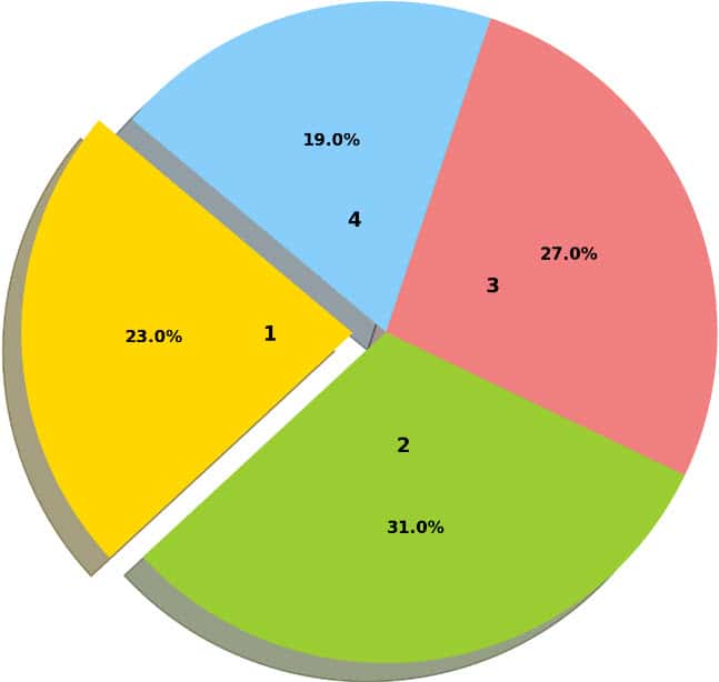 ACE CPT Practice Test – 300 Real Exam-Style Questions 25 Pie chart detailing the ACE exam domain percentages