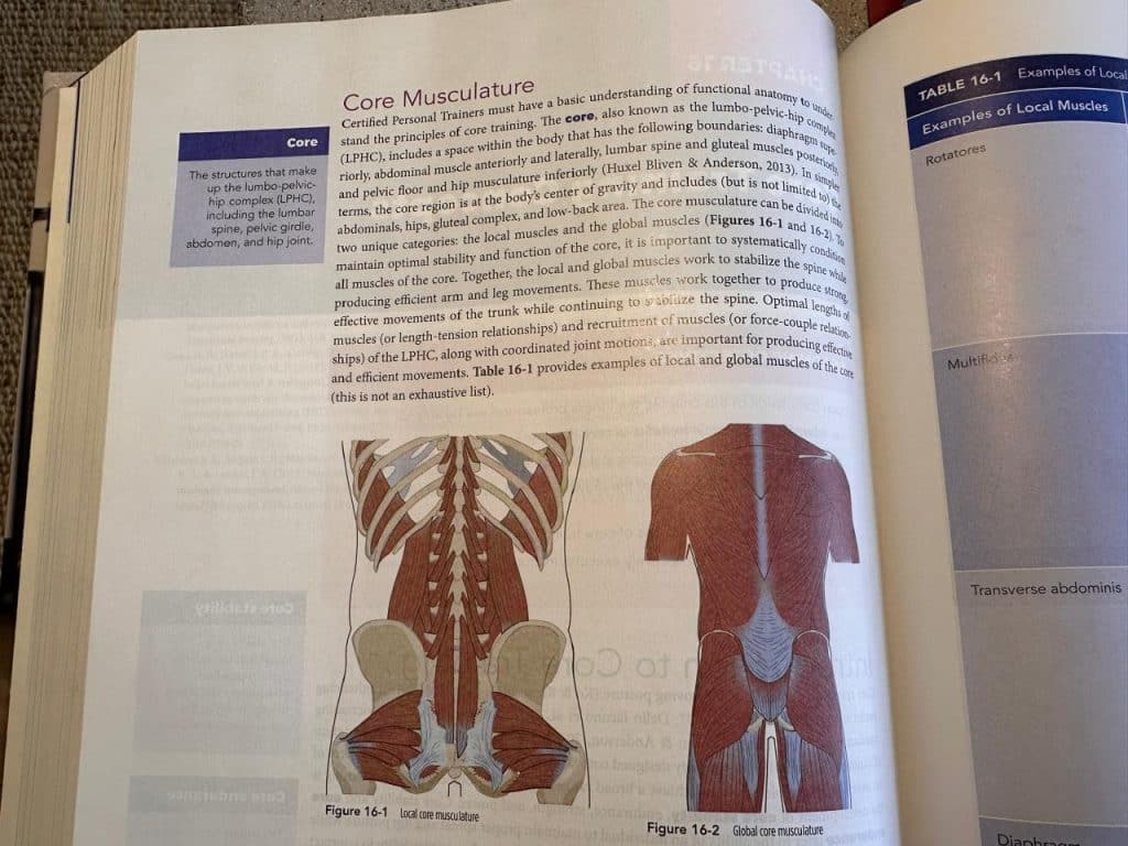 NASM textbook showing core musculature