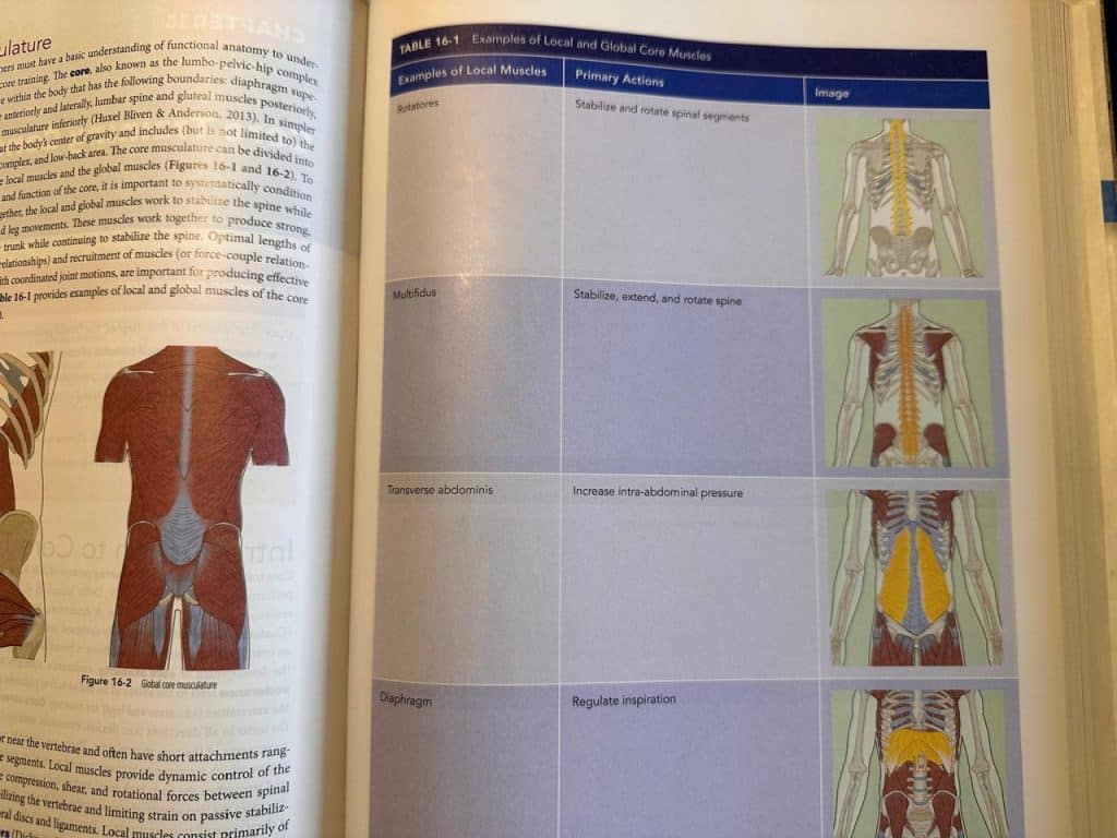NASM textbook showing the muscles that stabilize the core
