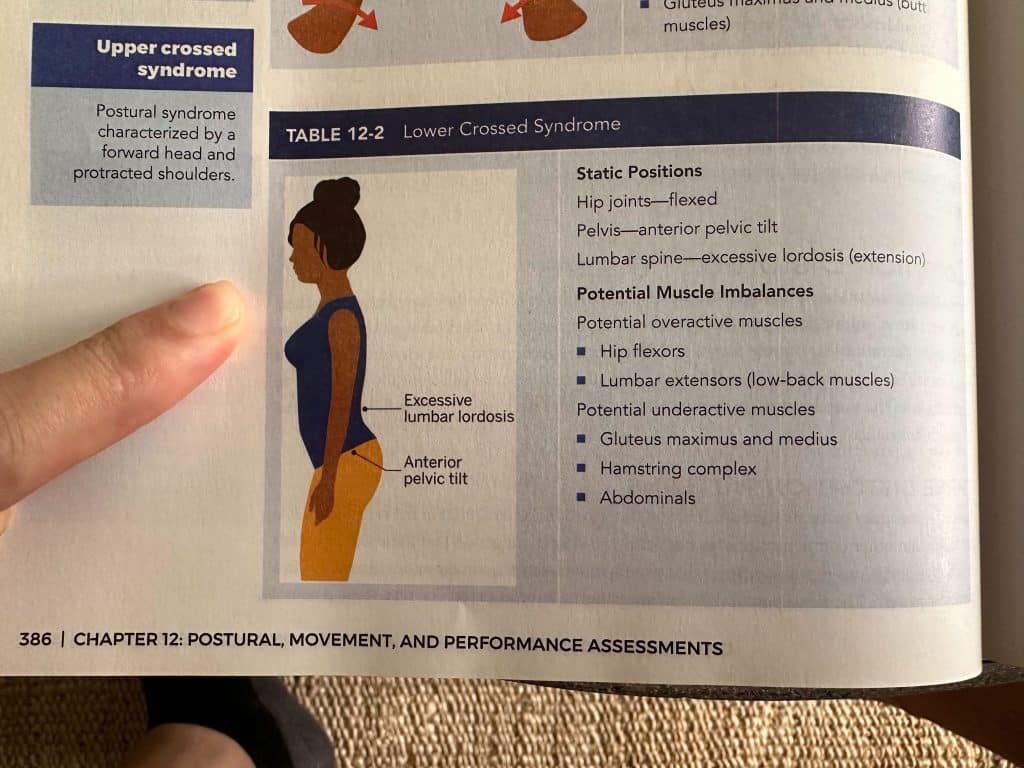 Tyler pointing out which muscles are involved in Lower Crossed Syndrome with NASM
