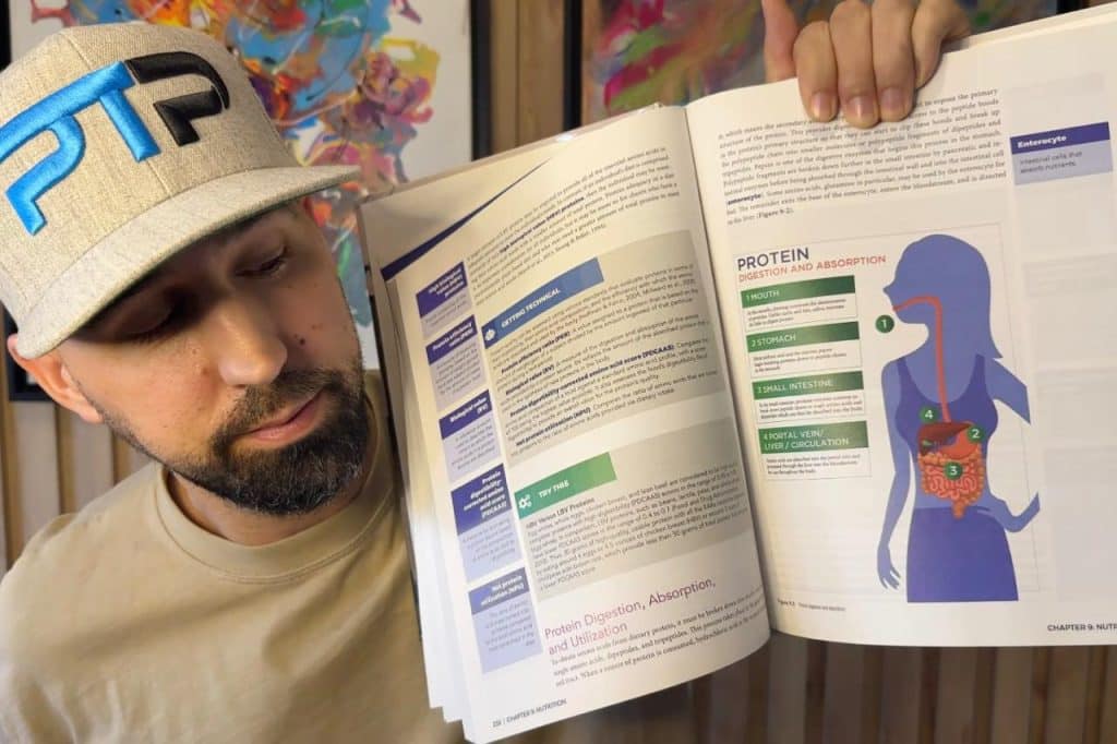 Fitness Certification Protein Intake Guidelines ([year]) 2